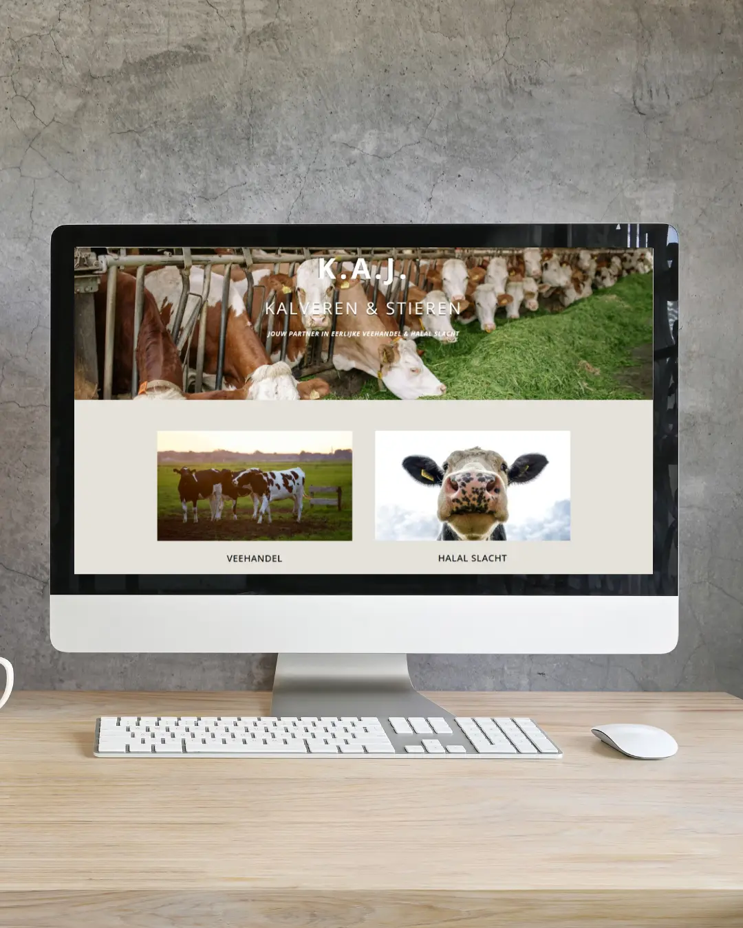 Mockup van een onepage website die Lidi heeft ontworpen